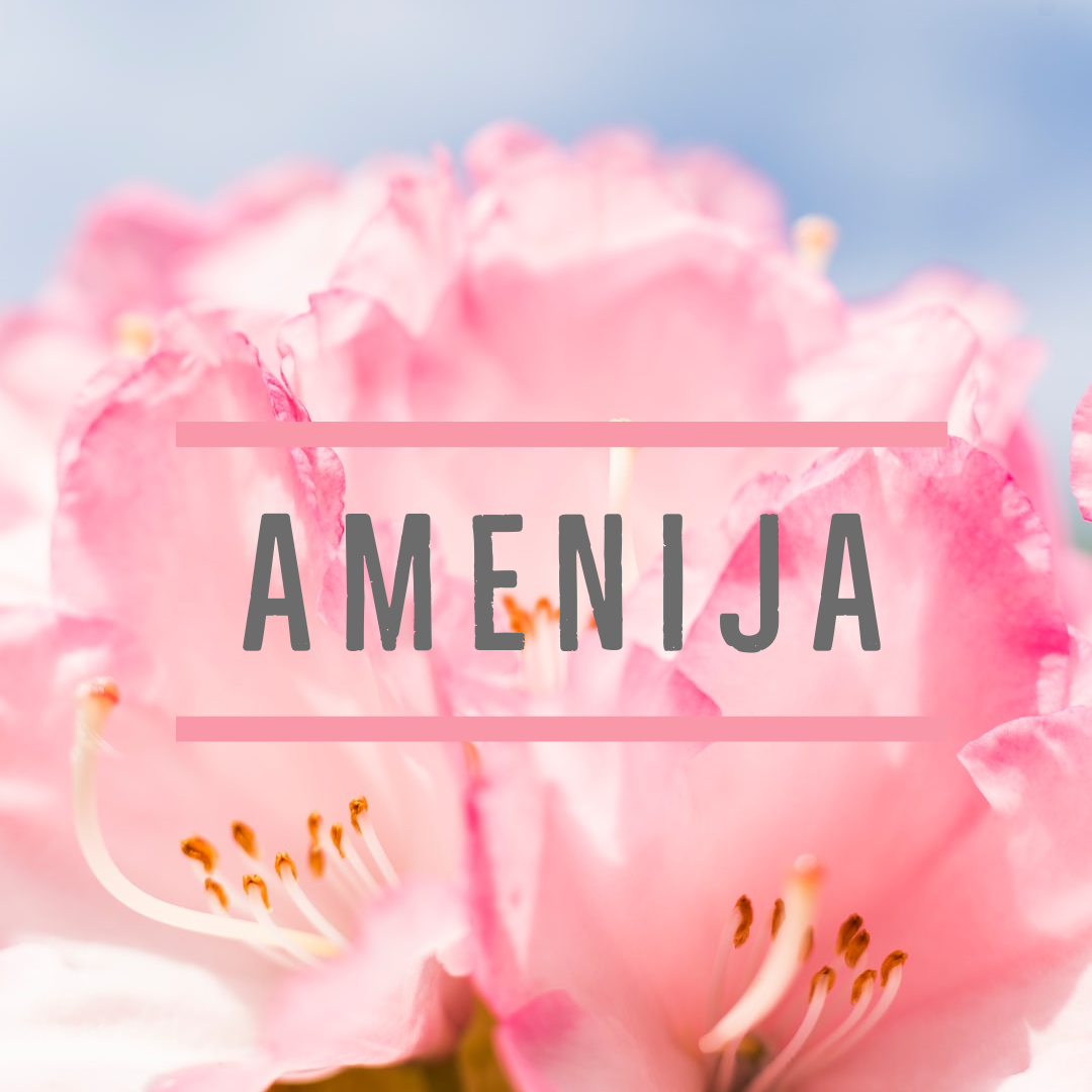 Amenija Hyvinvointi logo