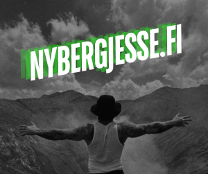 Nyberg Coaching logo