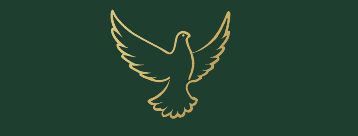lacavis.fi logo